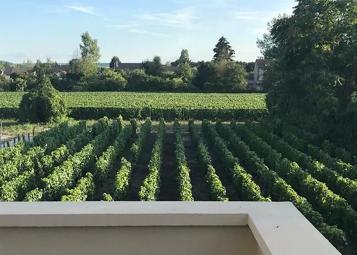 Villa 87 - Ay Champagne